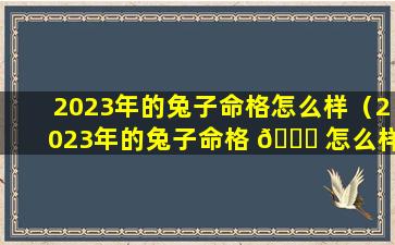 2023年的兔子命格怎么样（2023年的兔子命格 🐅 怎么样呀）